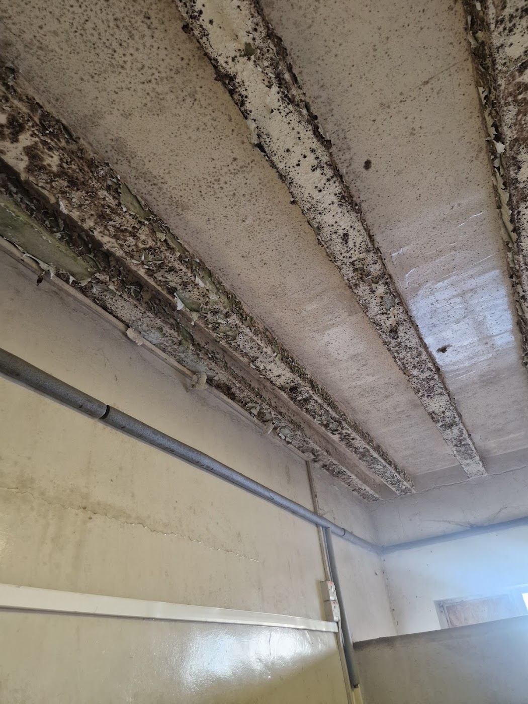 construction work by 1 in Nailsea
