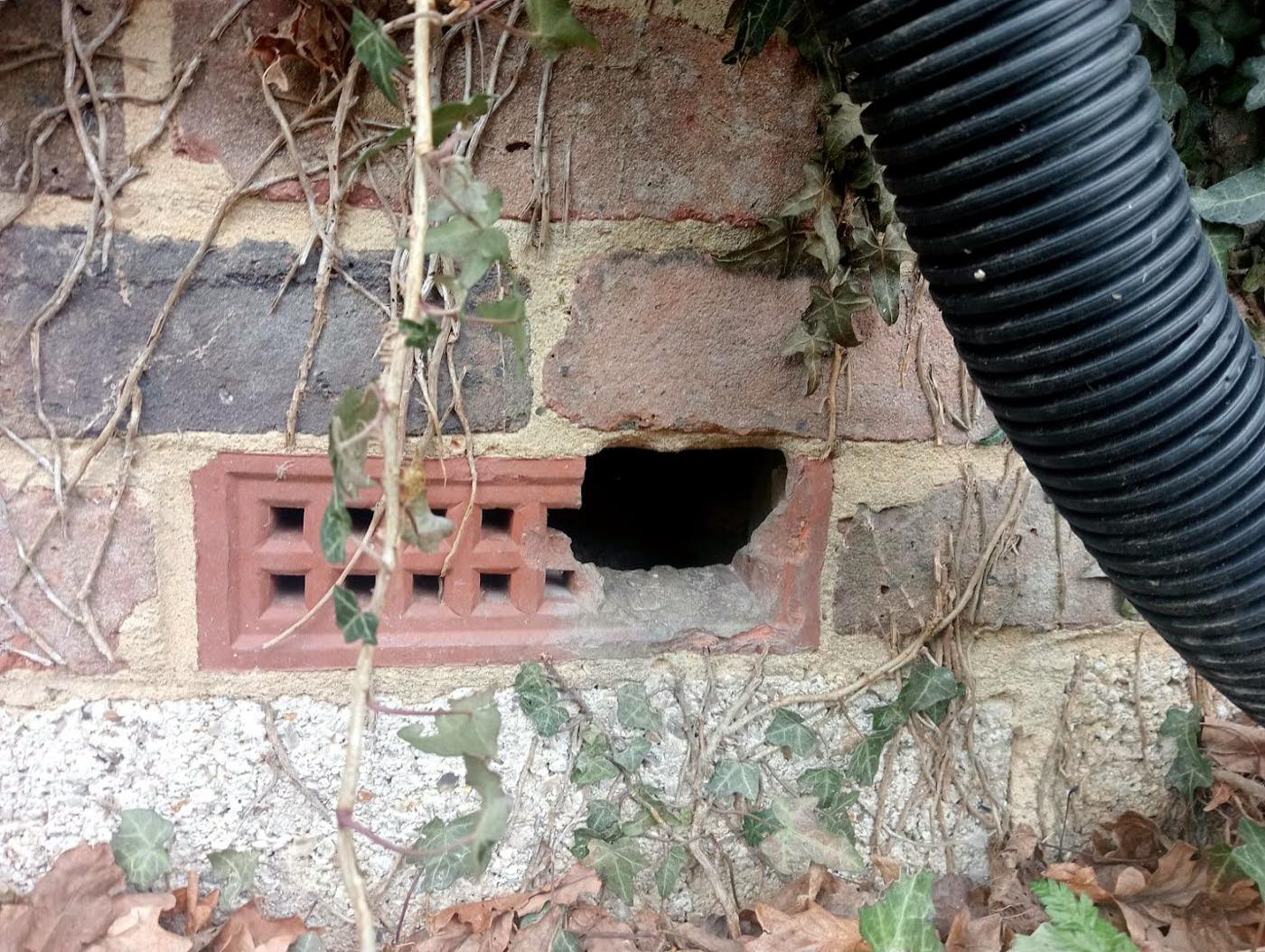 pest control work by A.C.T Pest control in Henfield