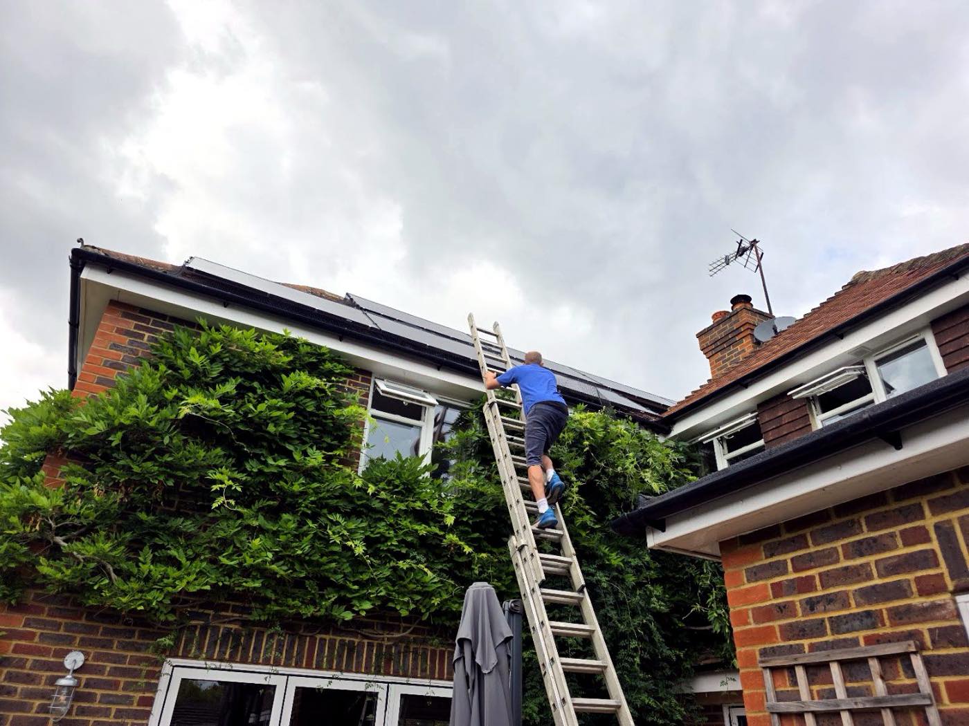 pest control work by A.C.T Pest control in Henfield