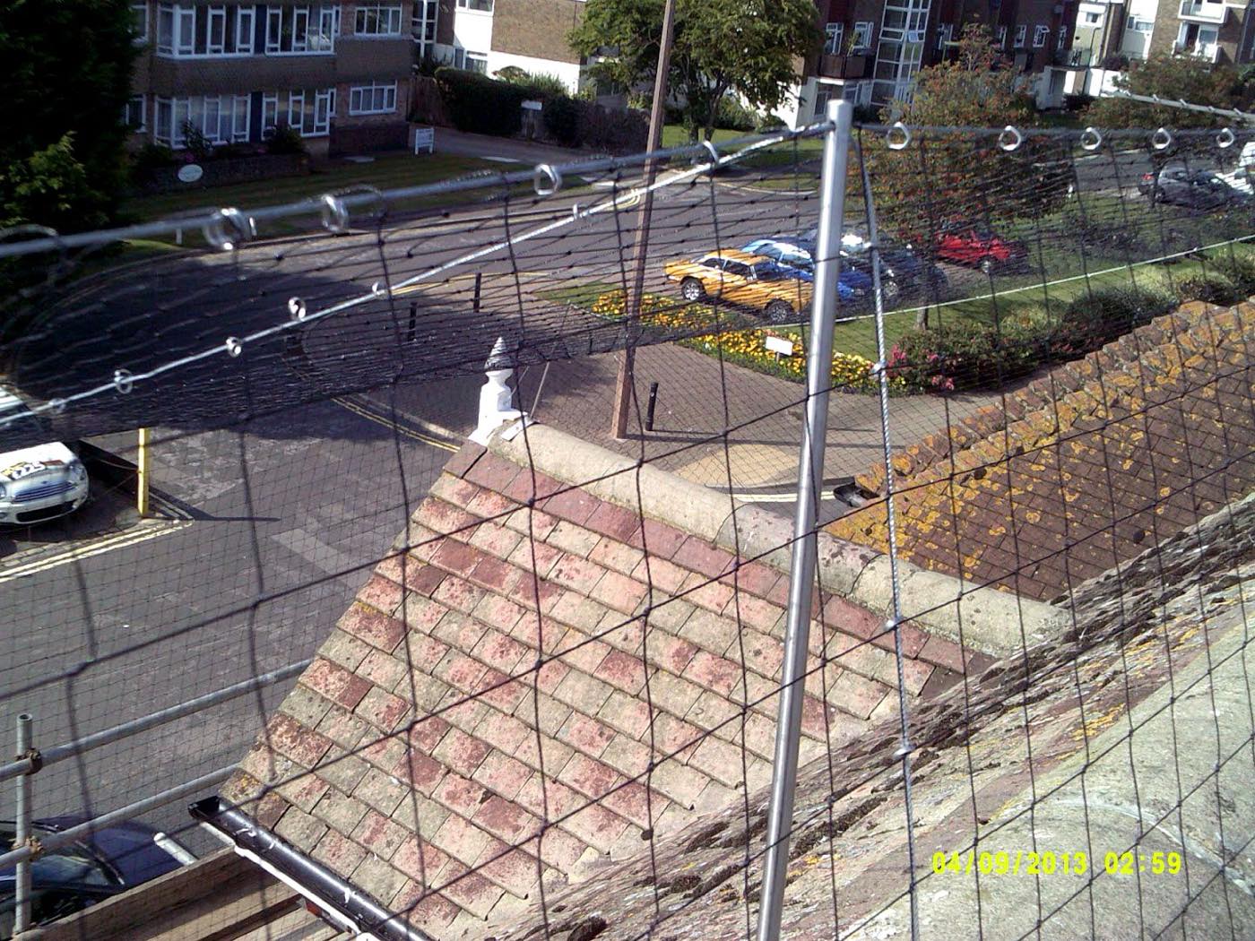 pest control work by A.C.T Pest control in Henfield