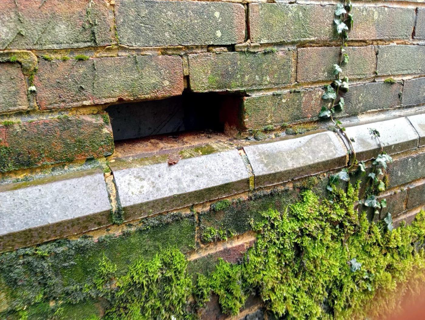 pest control work by A.C.T Pest control in Henfield