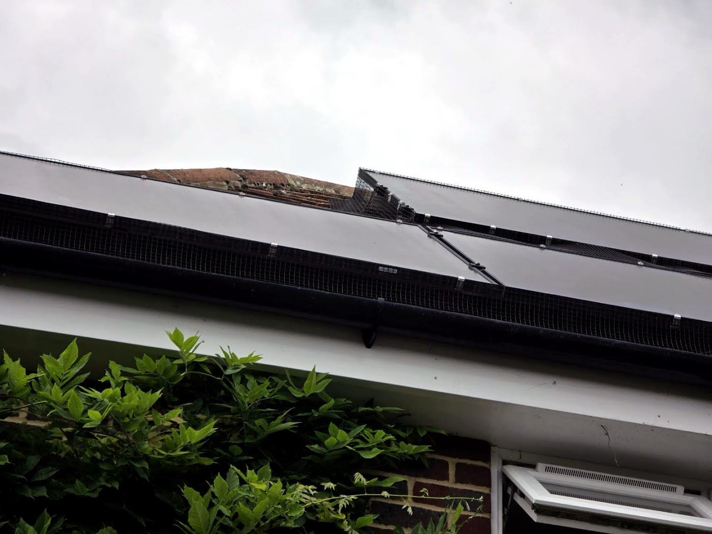 pest control work by A.C.T Pest control in Henfield