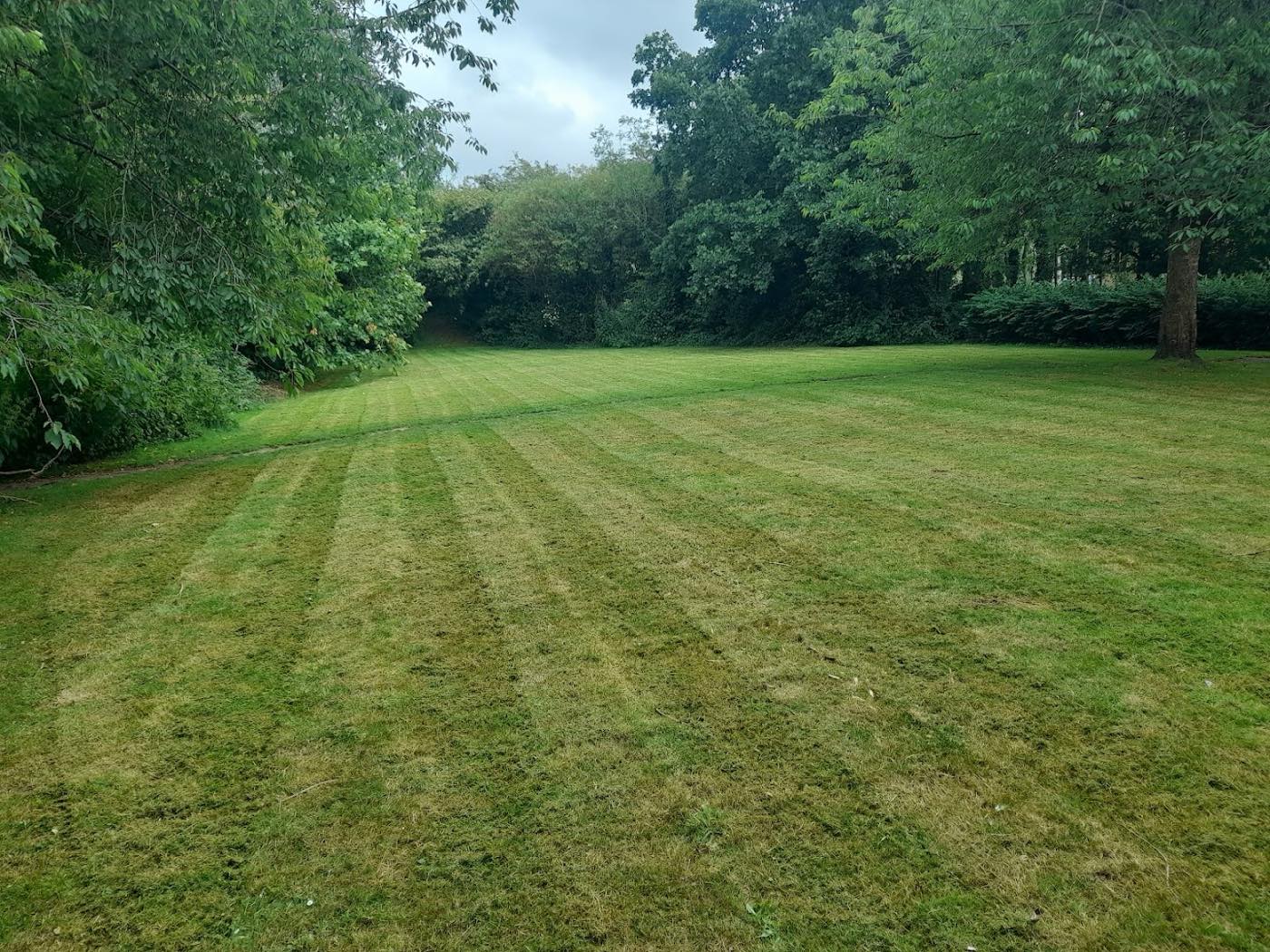 landscaping work by A-ds tree and garden maintenance in Ilfracombe