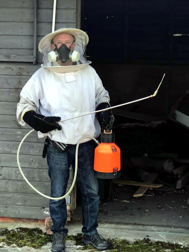 pest control work by A Wasp Control in Oxted