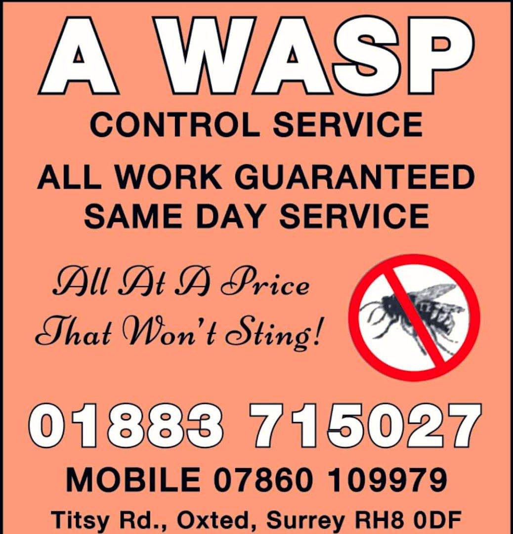 pest control work by A Wasp Control in Oxted