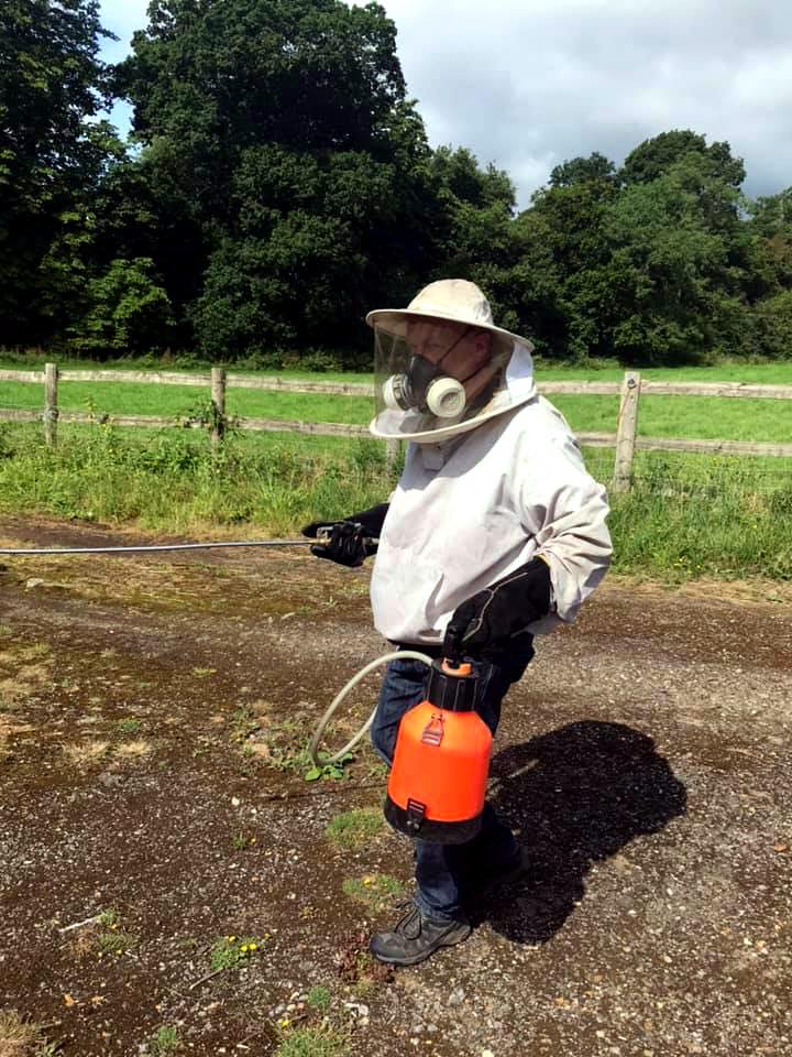 pest control work by A Wasp Control in Oxted