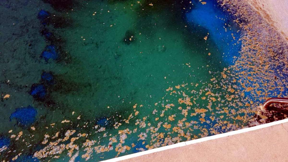 pool service work by ASAP POOL SERVICES gastonia nc in Gastonia