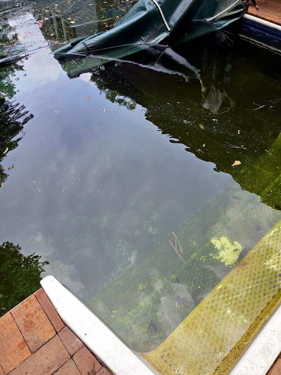 pool service work by ASAP POOL SERVICES gastonia nc in Gastonia