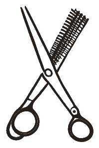 Bella Vida hair and beauty logo