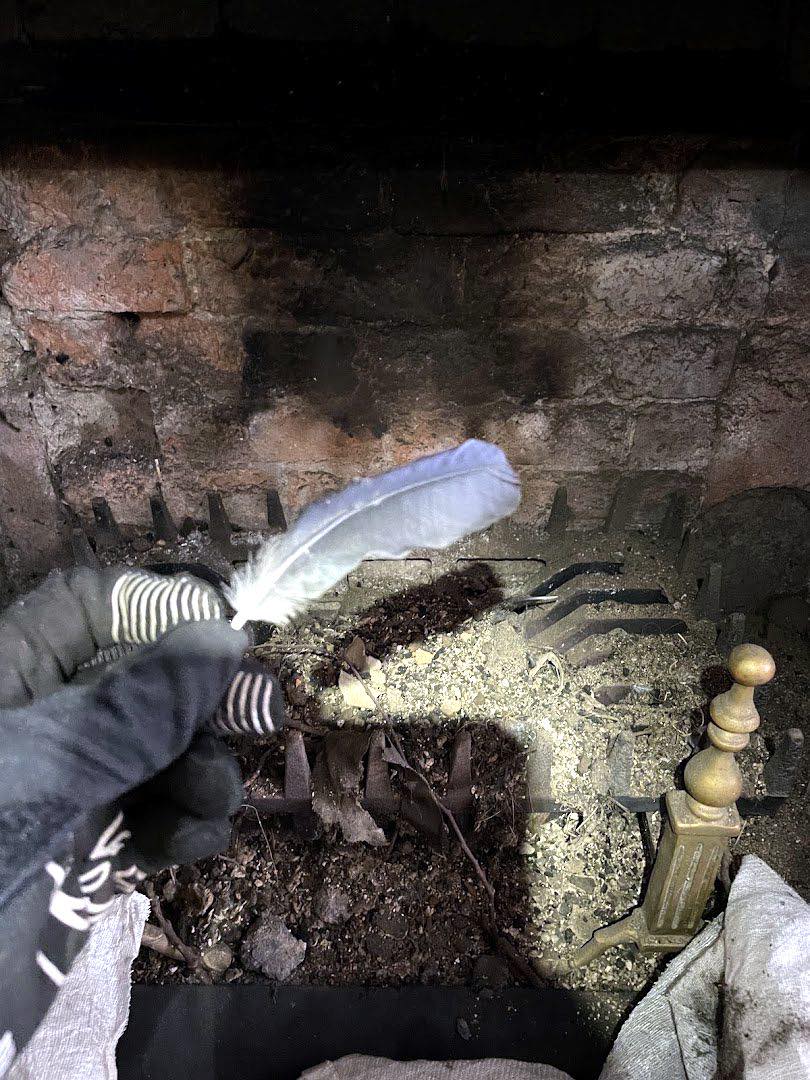 chimney work by Better Sweep Symphony in Martock