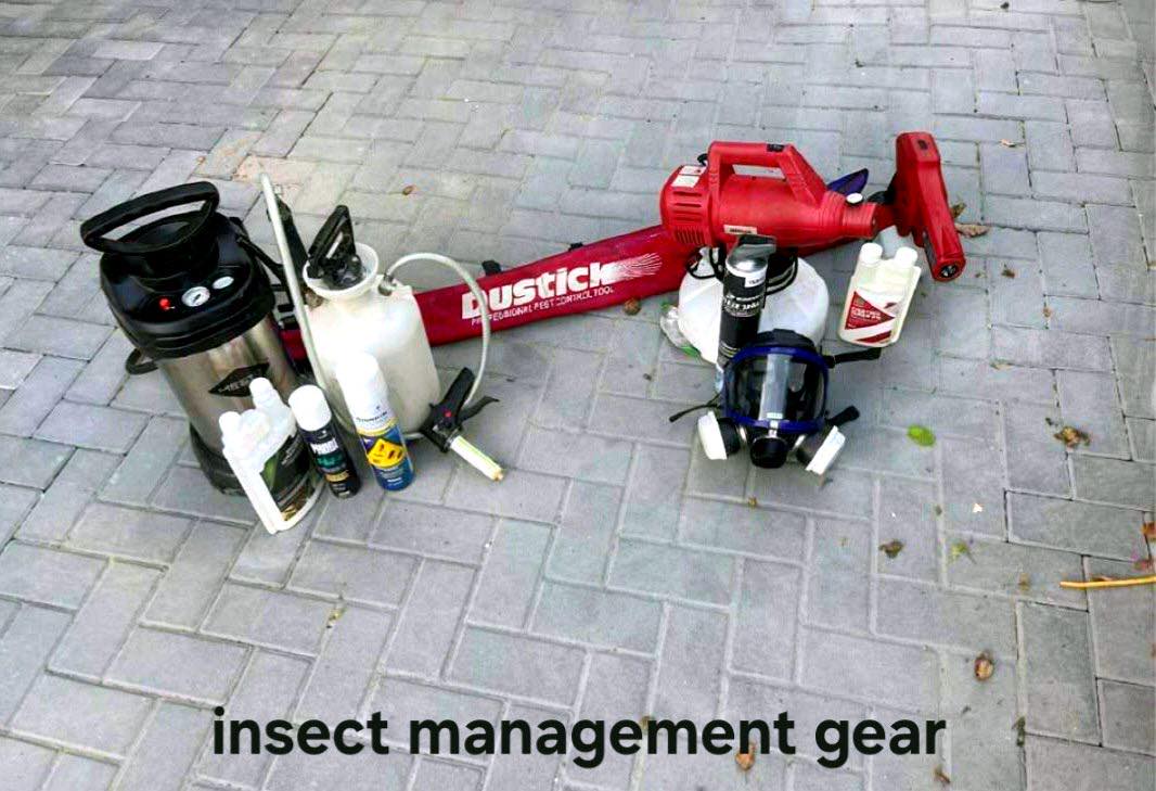 pest control work by Carst Pest Control in Staines
