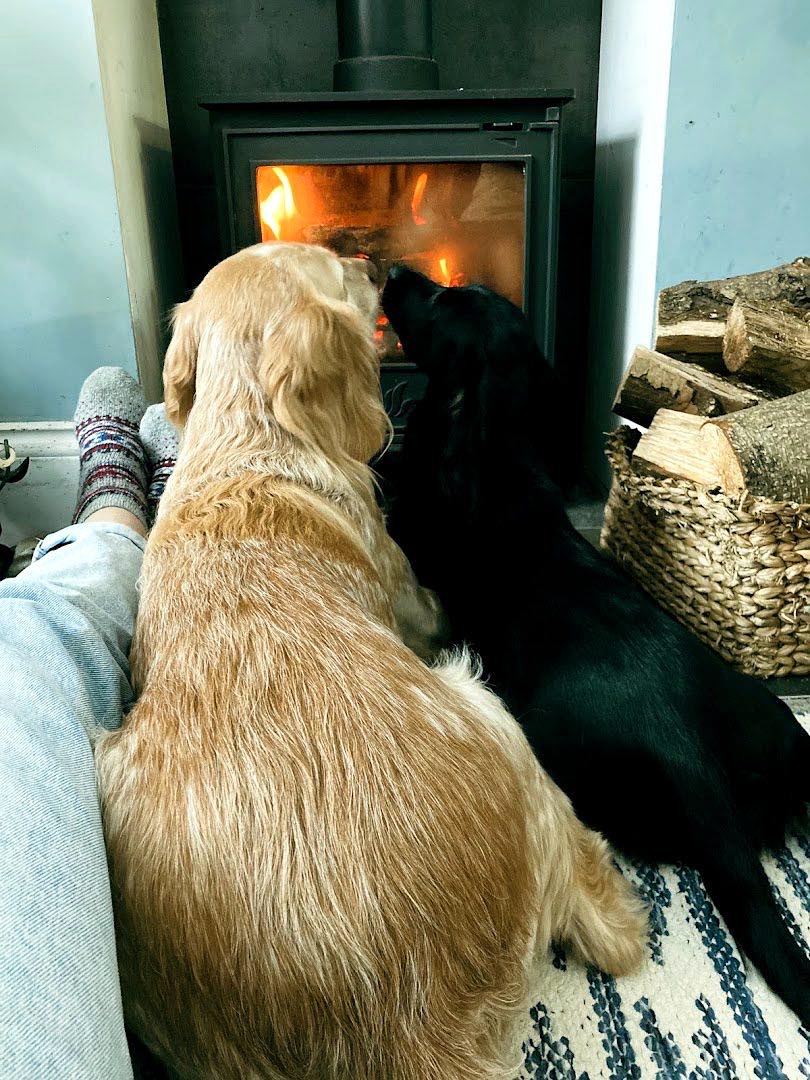 chimney work by CM Sweeps Sussex in Hastings