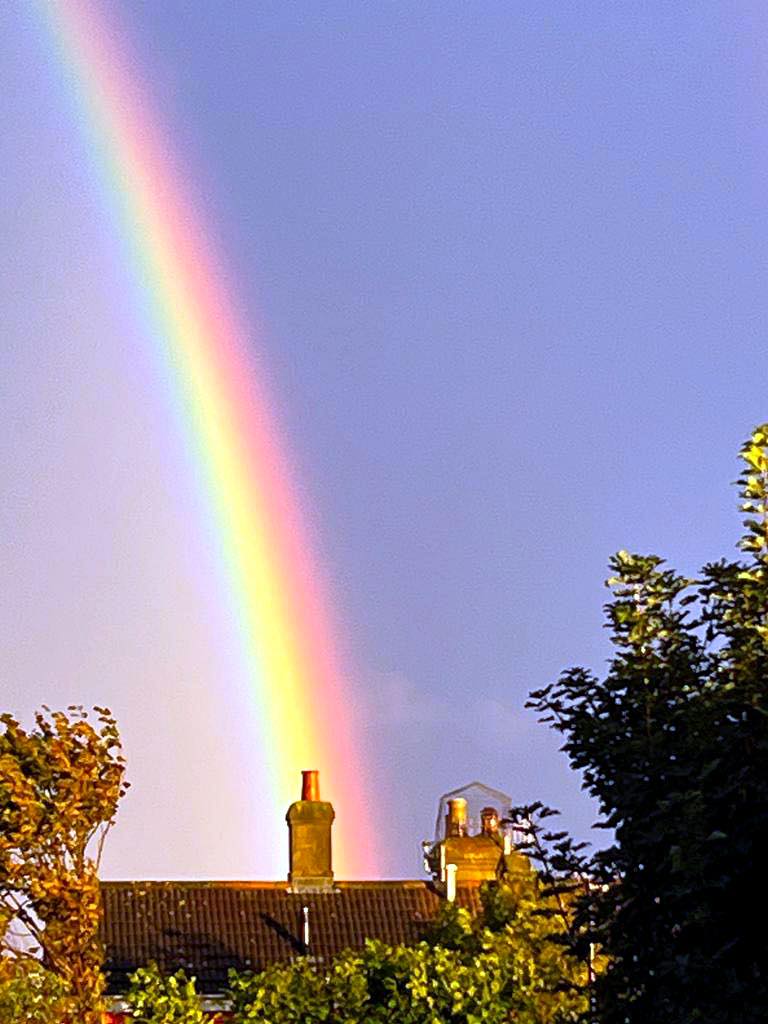chimney work by CM Sweeps Sussex in Hastings