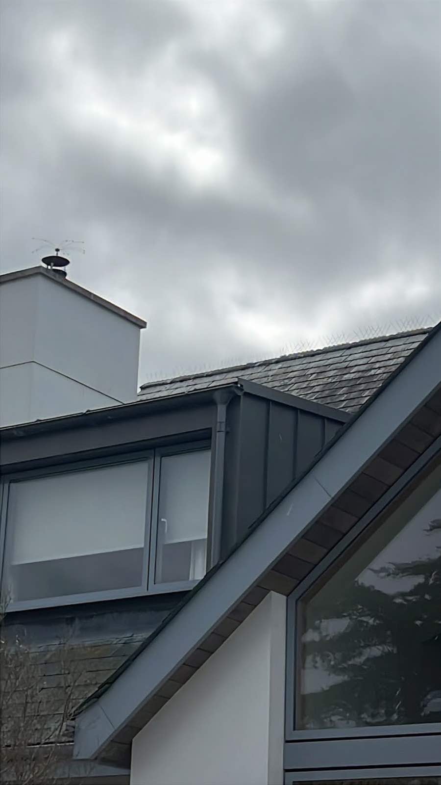 Cornwall Pest Management