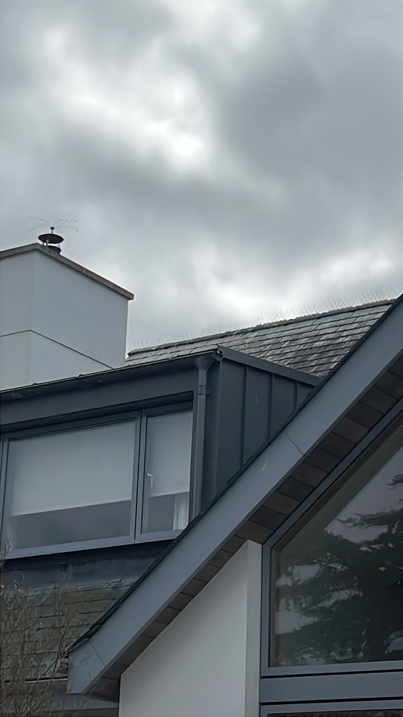 pest control work by Cornwall Pest Management in Saint Austell