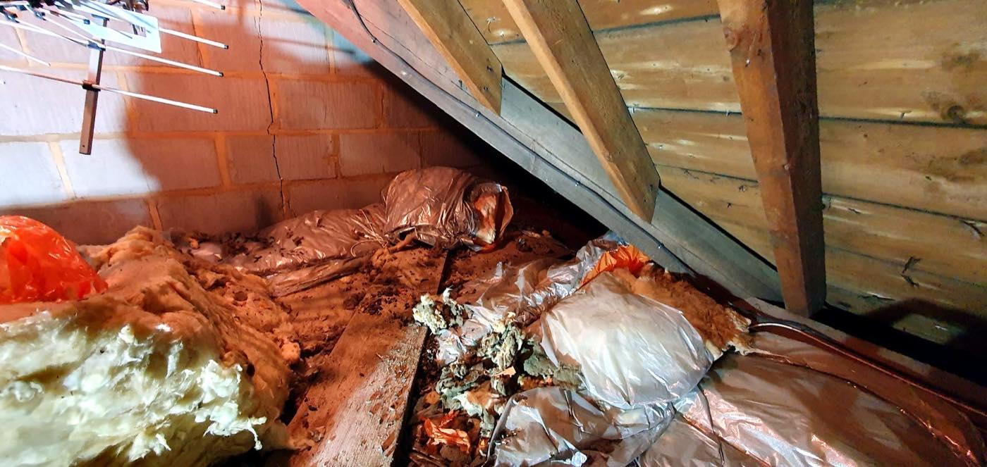 pest control work by Crane Pest Control ltd in Burstow