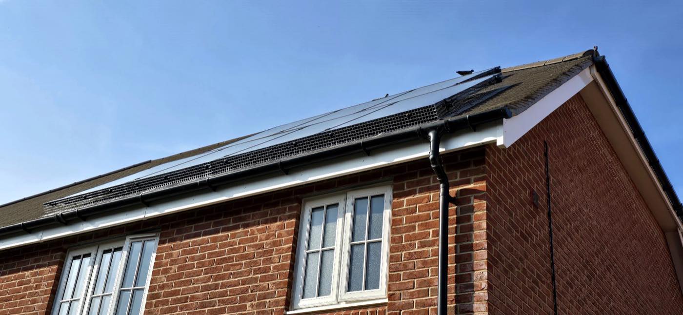 pest control work by Crane Pest Control ltd in Burstow
