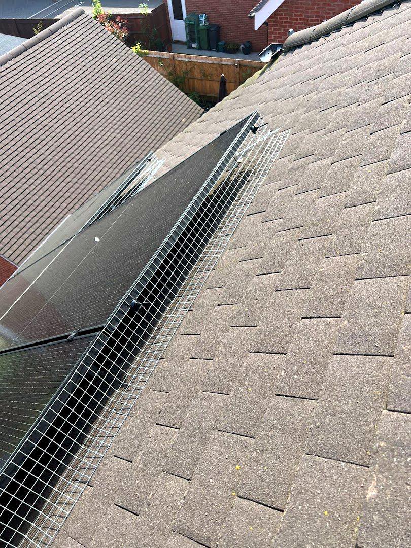 pest control work by Crane Pest Control ltd in Burstow
