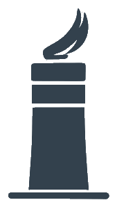 Daves Chimney Sweeps logo