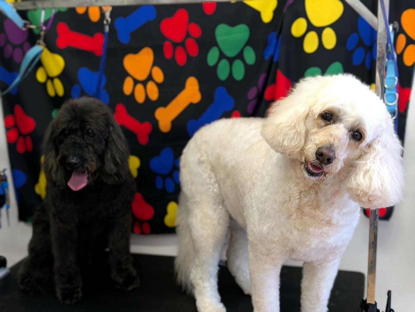 Breed Styling at Doggie styler