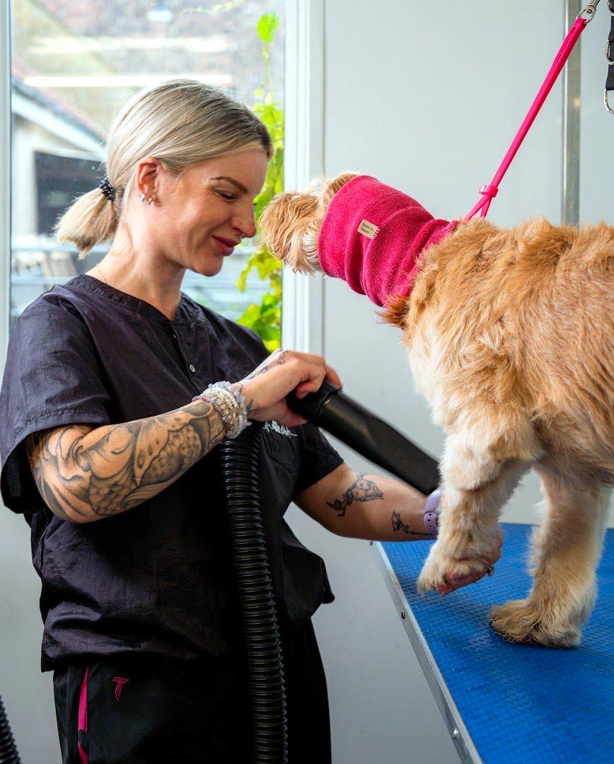 Bath & Blow Dry at For Your Paws Only