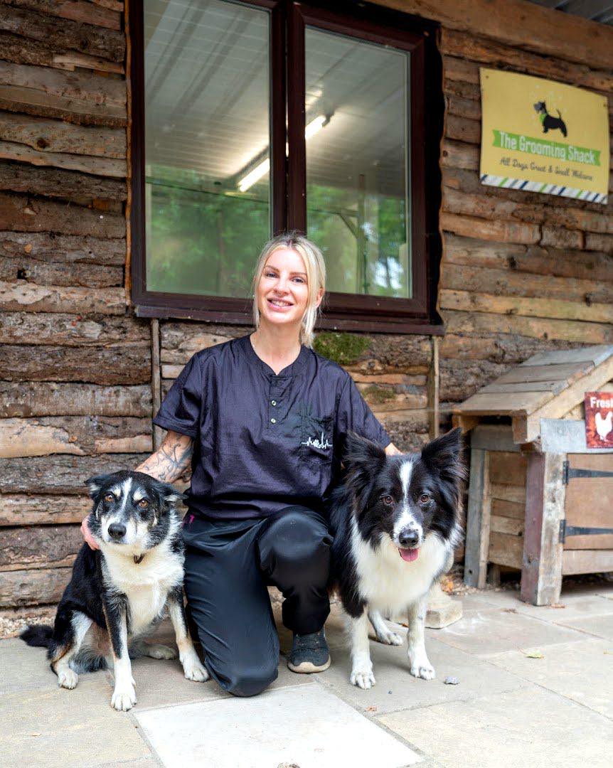 pet grooming work by For Your Paws Only in Martock