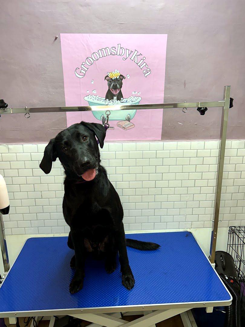 De-shedding Treatment at GroomsbyKira