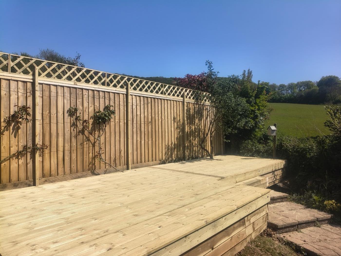 landscaping project by K C Build & Garden Design in Ottery Saint Mary