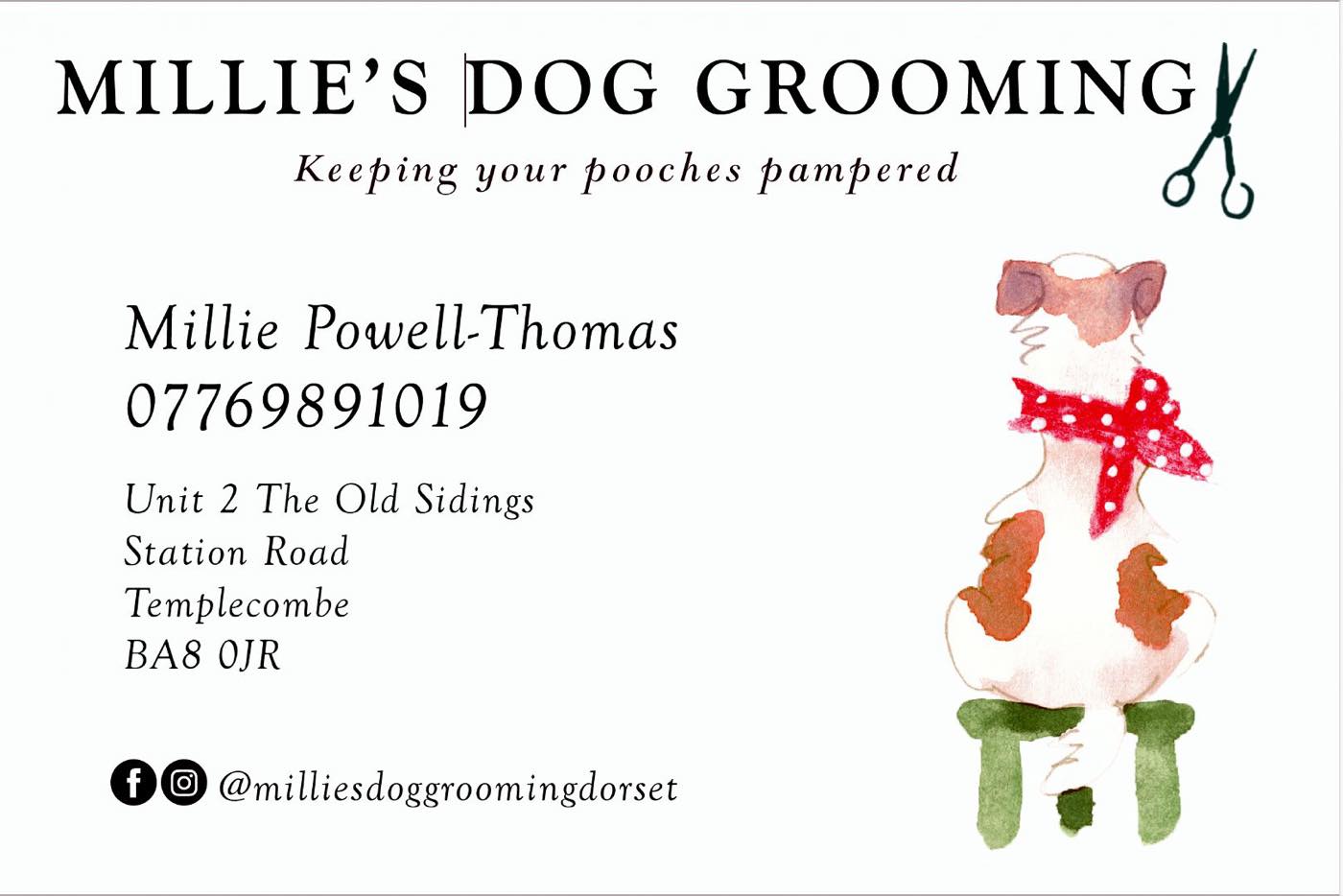 Inside Millie's Dog Grooming Ltd
